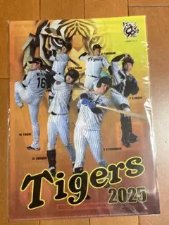 阪神タイガース　クリアファイル　2025 2枚セット