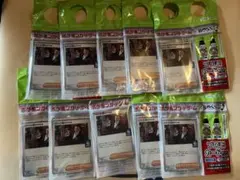 【匿名発送】ポケモンカードゲーム ロケット団のサカキ プロモカード 10枚セット