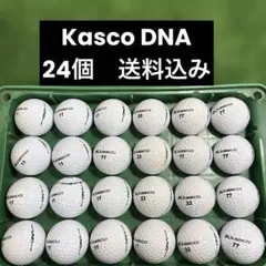 kasco DNA ロストボール　24個