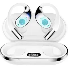 Item thumbnail for item eeaf8221-dfc9-4012-b773-04e7b61e3f3e