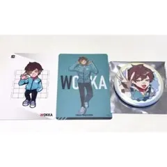 crazy raccoon うぉっか