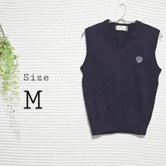 Ray Sloyd 海軍藍 V領 針織背心 M 尺寸