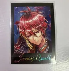 あくねこ フェネス ぱしゃこれ 箔押し