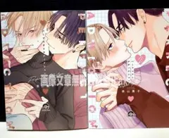 「パーフェクトアディクション」 「パーフェクトアディクション 2」 美山薫子