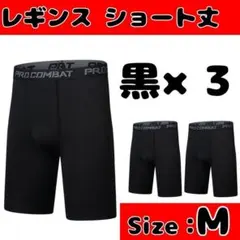 Item thumbnail for item 1e349d12-288f-4481-bfa0-5512f0074168