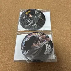 ヒロアカ 缶バッジ プロヒ イレイザーヘッド