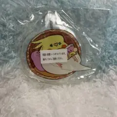 オカメインコ　えるポピ　アクリルブロック