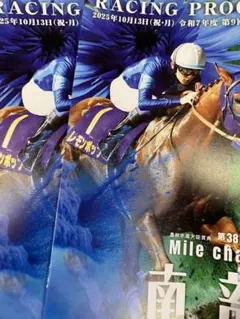 南部杯　競馬　レーシングプログラム　2025 2部セット　レモンポップ