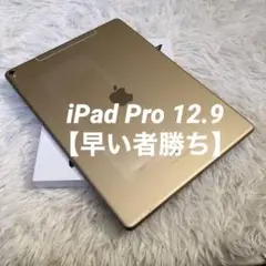 【早い者勝ち】iPad Pro 12.9 256GB 【すぐ発送】