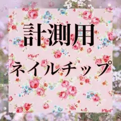 計測用 ネイルチップ