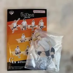 一番くじ ハイキュー 烏野の未来 G賞 月島蛍 おすわりアクリルスタンド