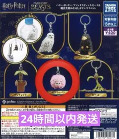 ハリーポッター ファンタスティックビースト めじるしアクセサリー