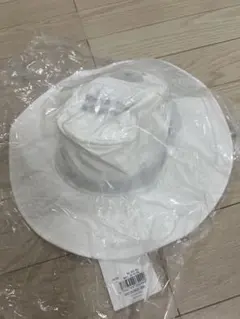 Item thumbnail for item 95b347c5-3e8e-407b-b3a8-aba0672a978e