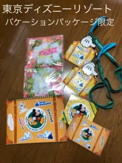 東京ディズニーリゾート バケーションパッケージ 限定 チケットホルダー・レイ他