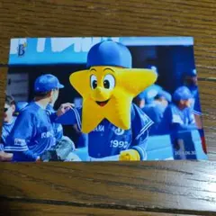 横浜DeNAベイスターズ☆ホッシー生写真