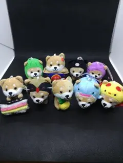 【旅するマメしば】沖縄限定9個セット