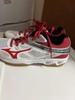 MIZUNO室内用シューズ 25.5cm