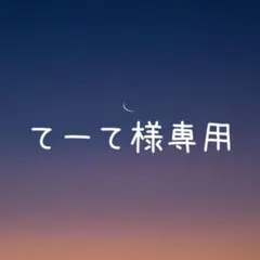 てーて様 リクエスト 2点 まとめ商品