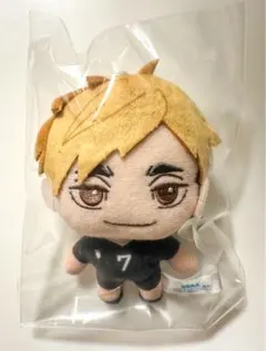 はるか様 リクエスト 2点 まとめ商品