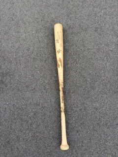 Item thumbnail for item 5b28bffb-d91b-4a66-91eb-95d676b80c44