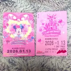 リゾートラインフリーきっぷ未使用期限切♥2026年1/13日付♥２枚セット