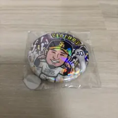 福岡ソフトバンクホークス 若鷹ガチャ 勝利ver. 缶バッジ #40 杉山一樹