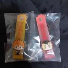 日向翔陽　孤爪研磨　 ぽこっとちゃーむ