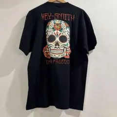 廃盤！HEY-SMITH ラグランシャツ Tシャツ 美品 - メルカリ