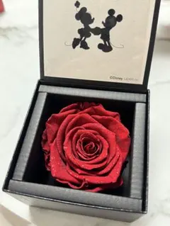 Item thumbnail for item ad1a60c8-a277-4894-9c9e-92b63c806de9