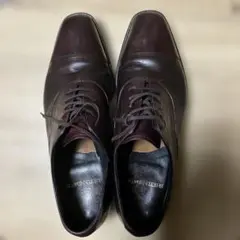 ハル SHETLANDFOX Bristol 2025年最新】シェットランドフォックス ブリストルの人気