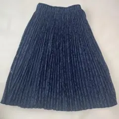 ロングプリーツスカート　総レース　フリー