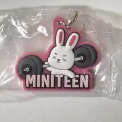 SEVENTEEN MINITEENめじるしアクセサリー エスクプス