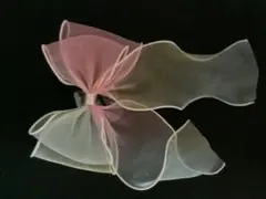 Item thumbnail for item 0c3b2d0f-d0f5-4f23-b5af-4add50a907c2