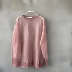 試着のみ⭐︎ZARA シースルーカットソー