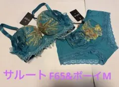 2026年最新】F65 サルートの人気アイテム - メルカリ