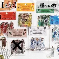 【285】シール 人物 レトロ 女性 コラージュ素材 PET 装飾 5種200枚