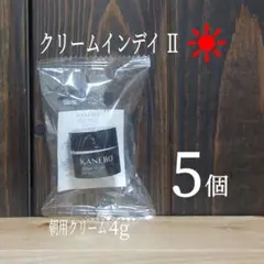 カネボウ⭐クリームインデイII⭐5個セット⭐クリームインディII⭐Kanebo
