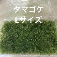 はな×はな様 リクエスト 2点 まとめ商品