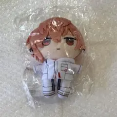 京 ぬいぐるみ 2022 パラライ