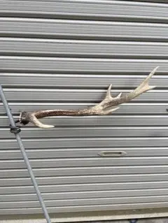 鹿の角 ランタンハンガー ランタンスタンドのサムネイル