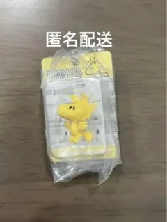 PEANUTS パッケージミニチュアコレクション ウッドストック