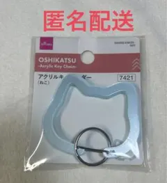 &TEAM YUMA DAISO アクリルキーホルダー ねこ ライトブルーのサムネイル