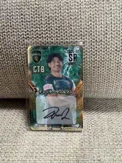 Item thumbnail for item 1aecb5a1-0ca5-4b02-b7f2-2eb0ff24b5d6