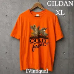 00’s オレンジ GILDAN Tシャツ XL y2k 夏物SALE