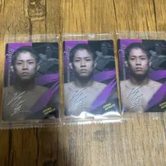 Item thumbnail for item c7927417-aa32-4e06-99a3-7d02ab4e915a