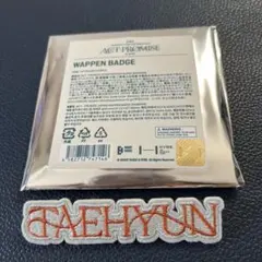 txt テヒョン　ワッペンバッジ ACT:PROMISE