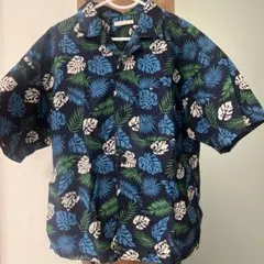 Item thumbnail for item 7057a52b-15d0-4c9e-911c-97ef6490f2f9