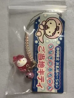 入手困難希少品‼️廃盤キテイ‪‪❤︎‬ご当地根付け静岡限定 浜名湖 うなぎの赤ちゃん ご当地キティ根付け 静岡 うなぎの赤ちゃん - メルカリ