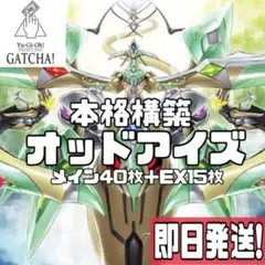 即日発送！大会用　覇王オッドアイズ デッキ　遊戯王　レボリューションドラゴン