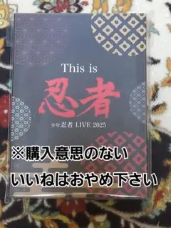 土日限定販売!!少年忍者 LIVE 2025 This is 忍者 DVD - メルカリ